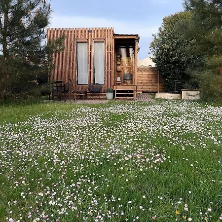 Les D'alienor-suite Mimosa *