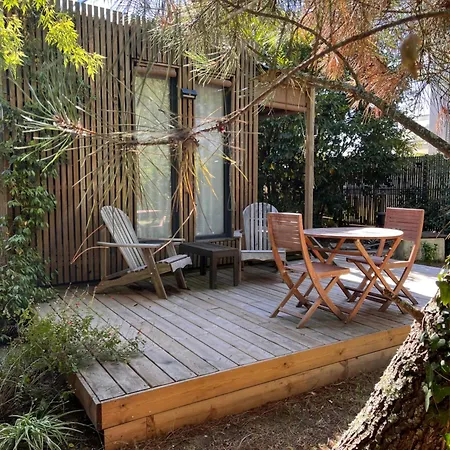 Les D'alienor-suite Mimosa *