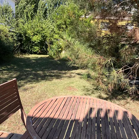 Les D'alienor-suite Mimosa *