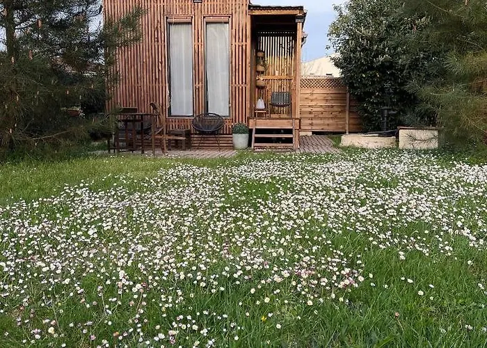 Les D'alienor-suite Mimosa *