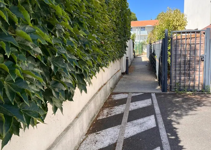 Les D'aliénor-suite Mimosa