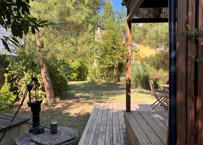 Les D'alienor-suite Mimosa